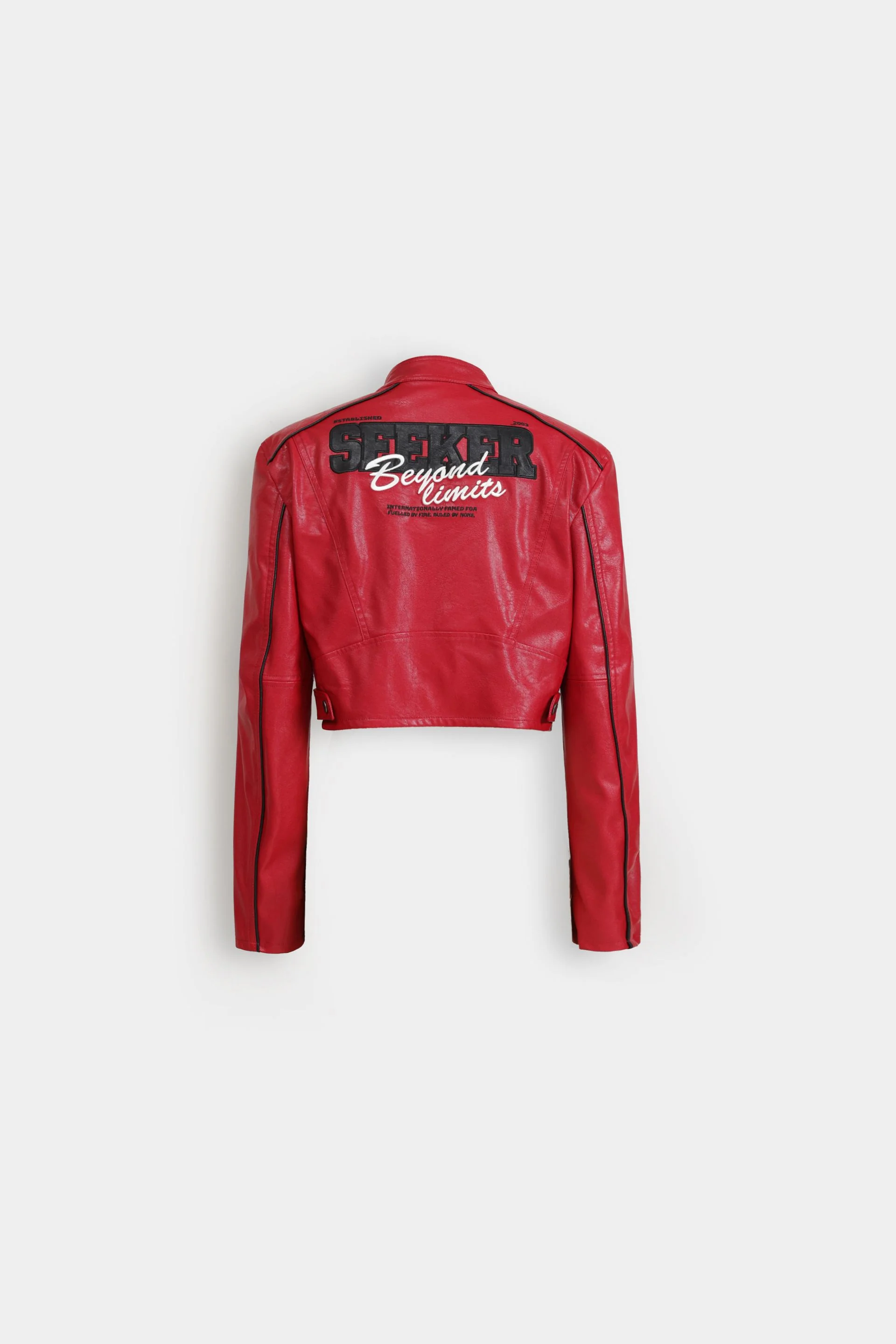 Biker Jacket With Pinstripe Detail - Image 14