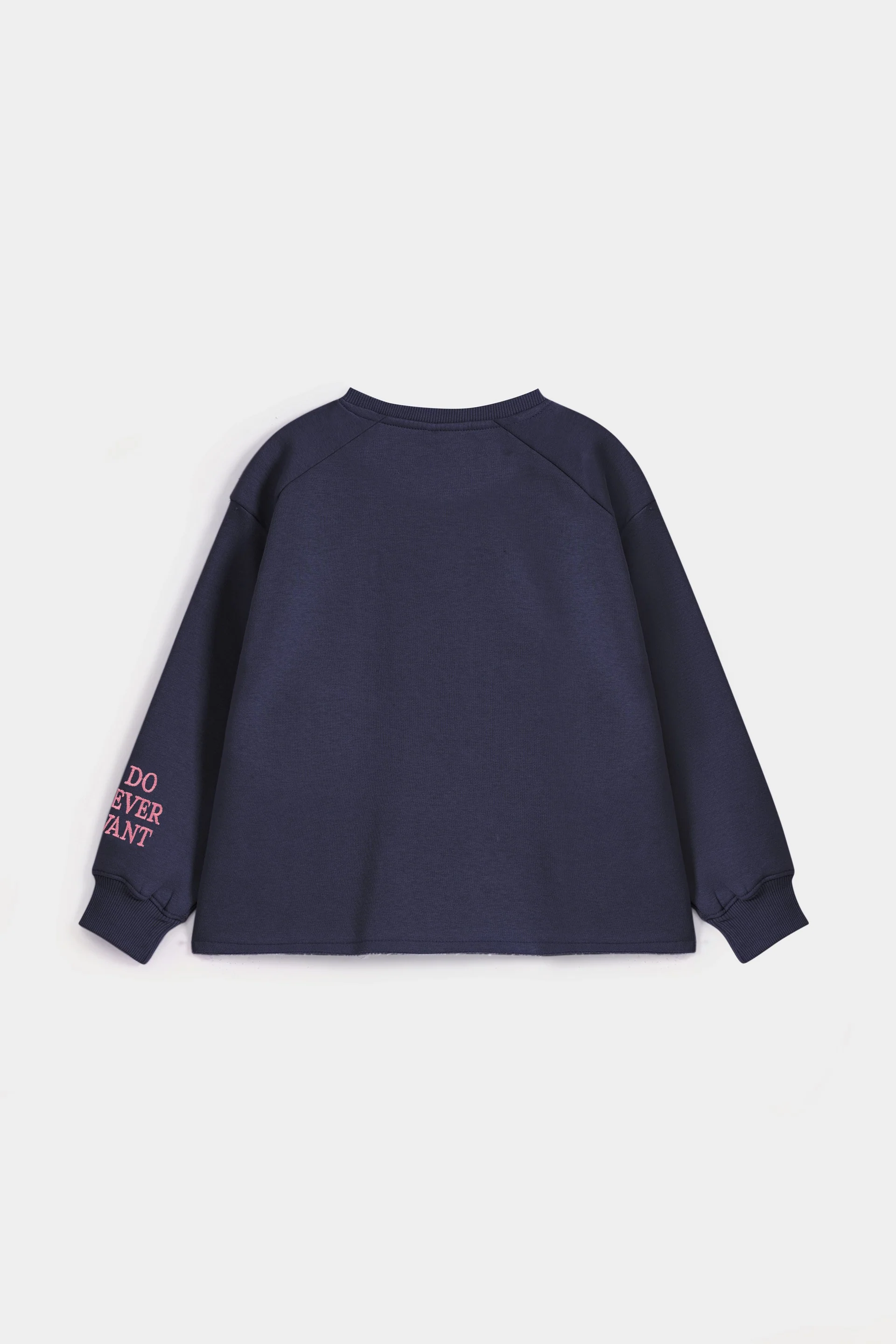 Raglan Sleeve Embroidered Sweatshirt - Image 12
