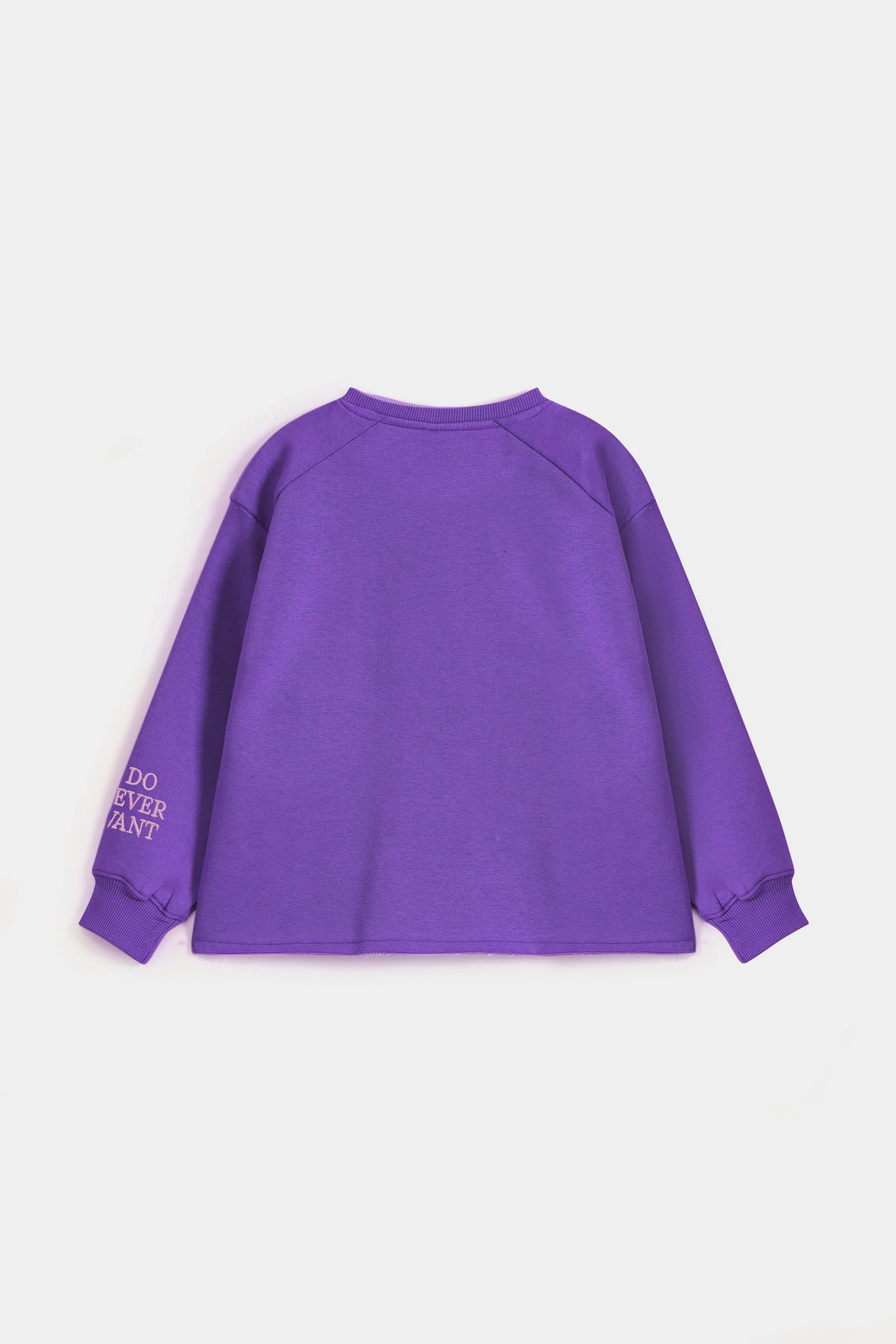 Raglan Sleeve Embroidered Sweatshirt - Image 8