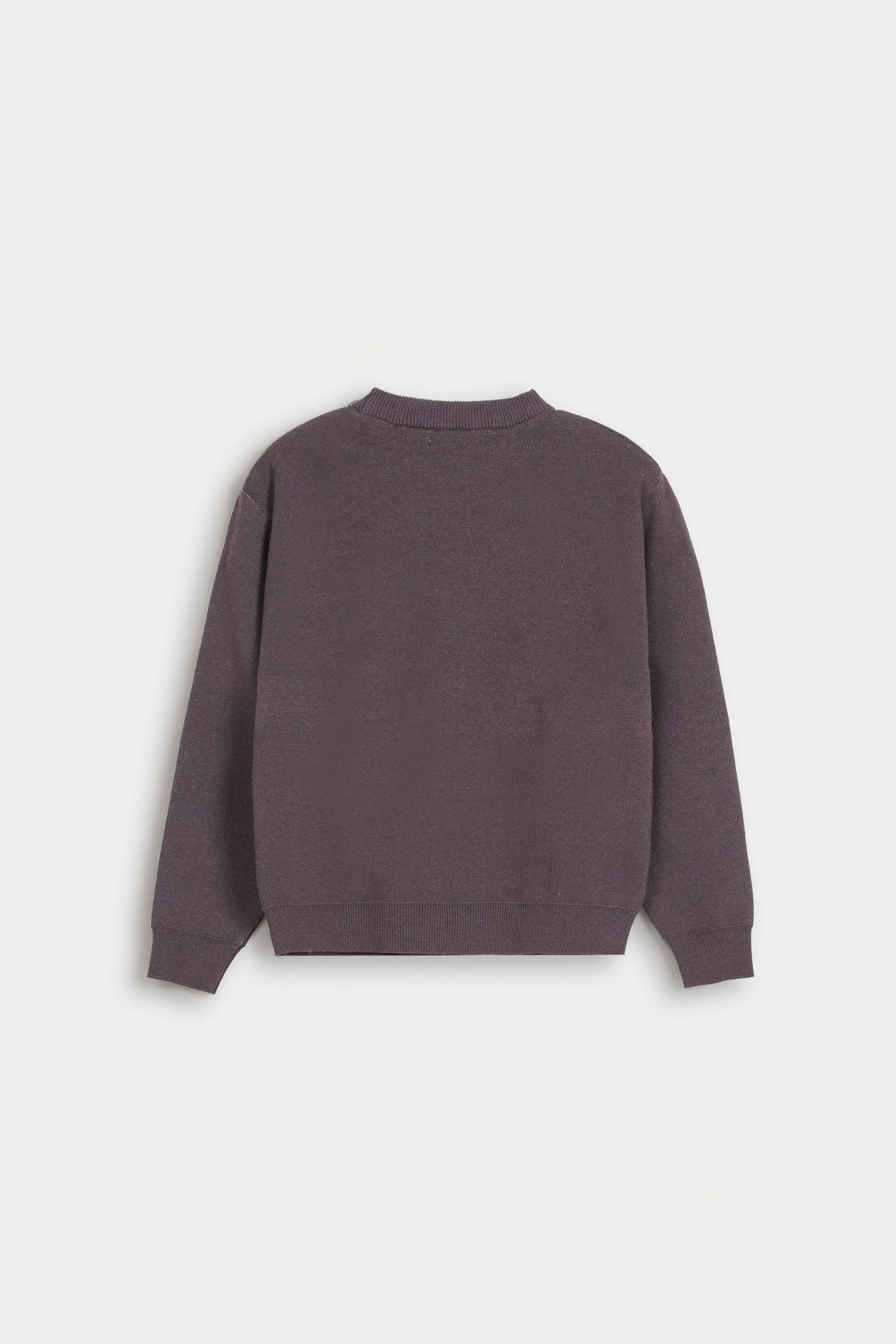 Character Jacquard Sweater - Image 3