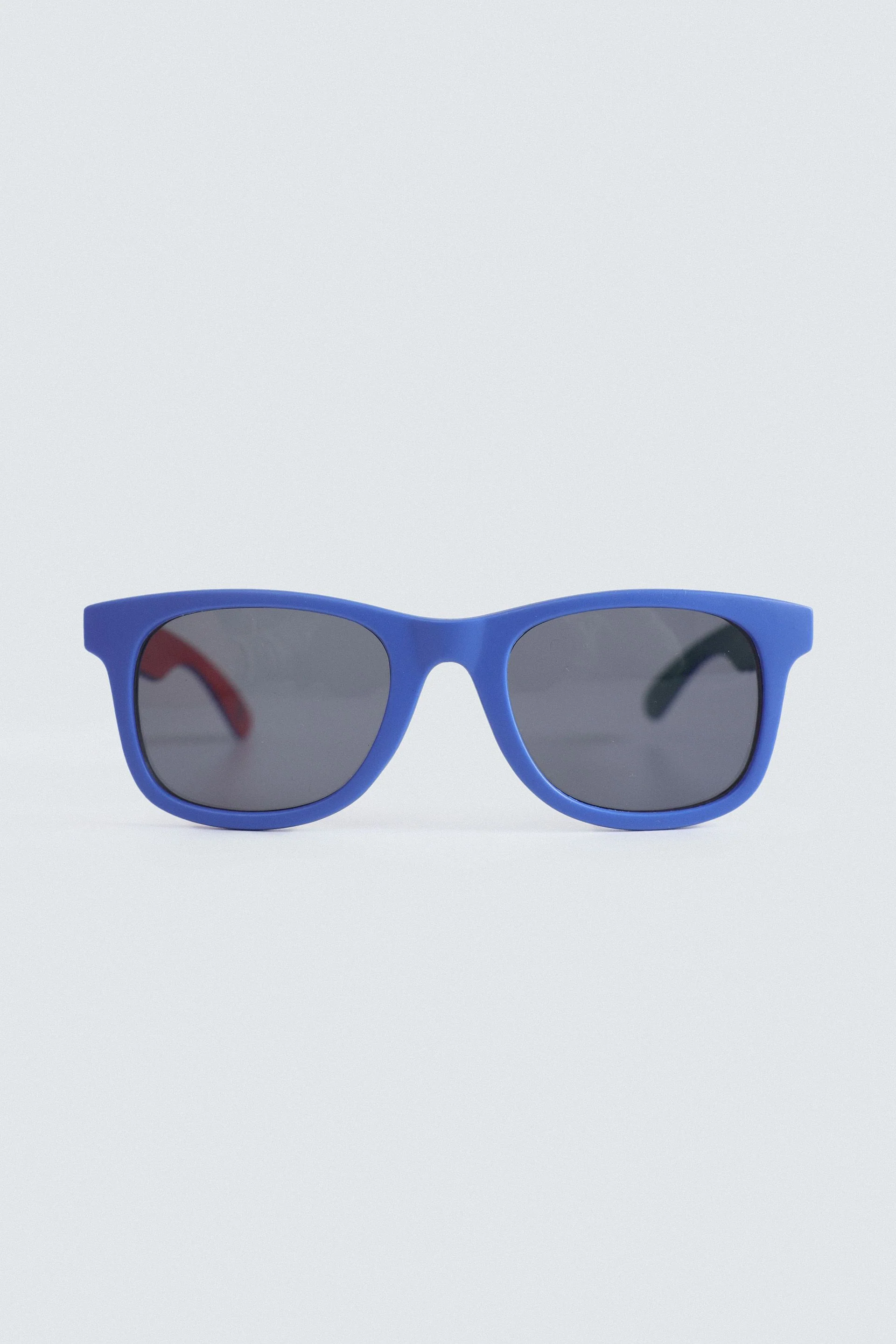 Wayfarer Sunglasses