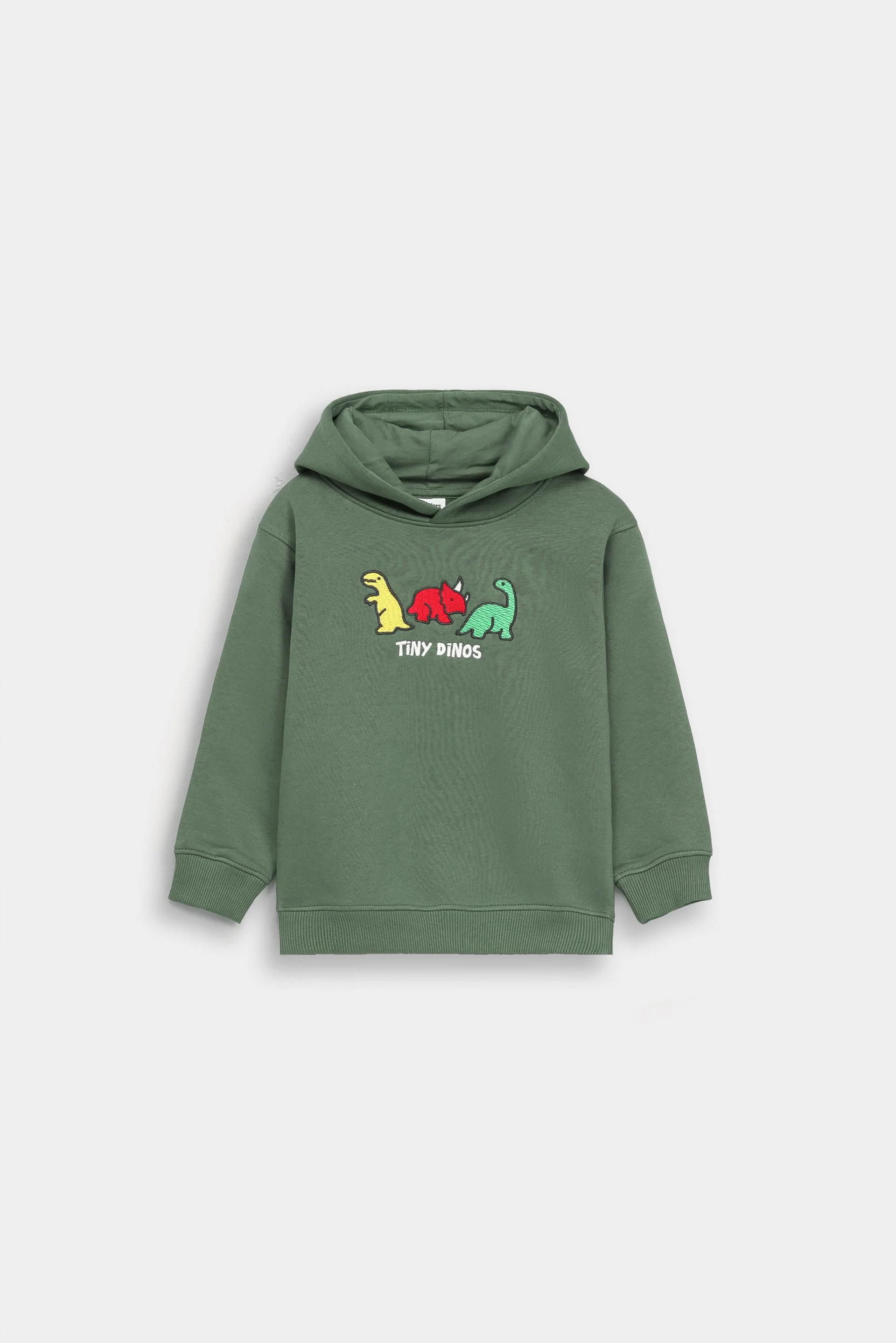 Dino Embroidered Hoodie - Image 13