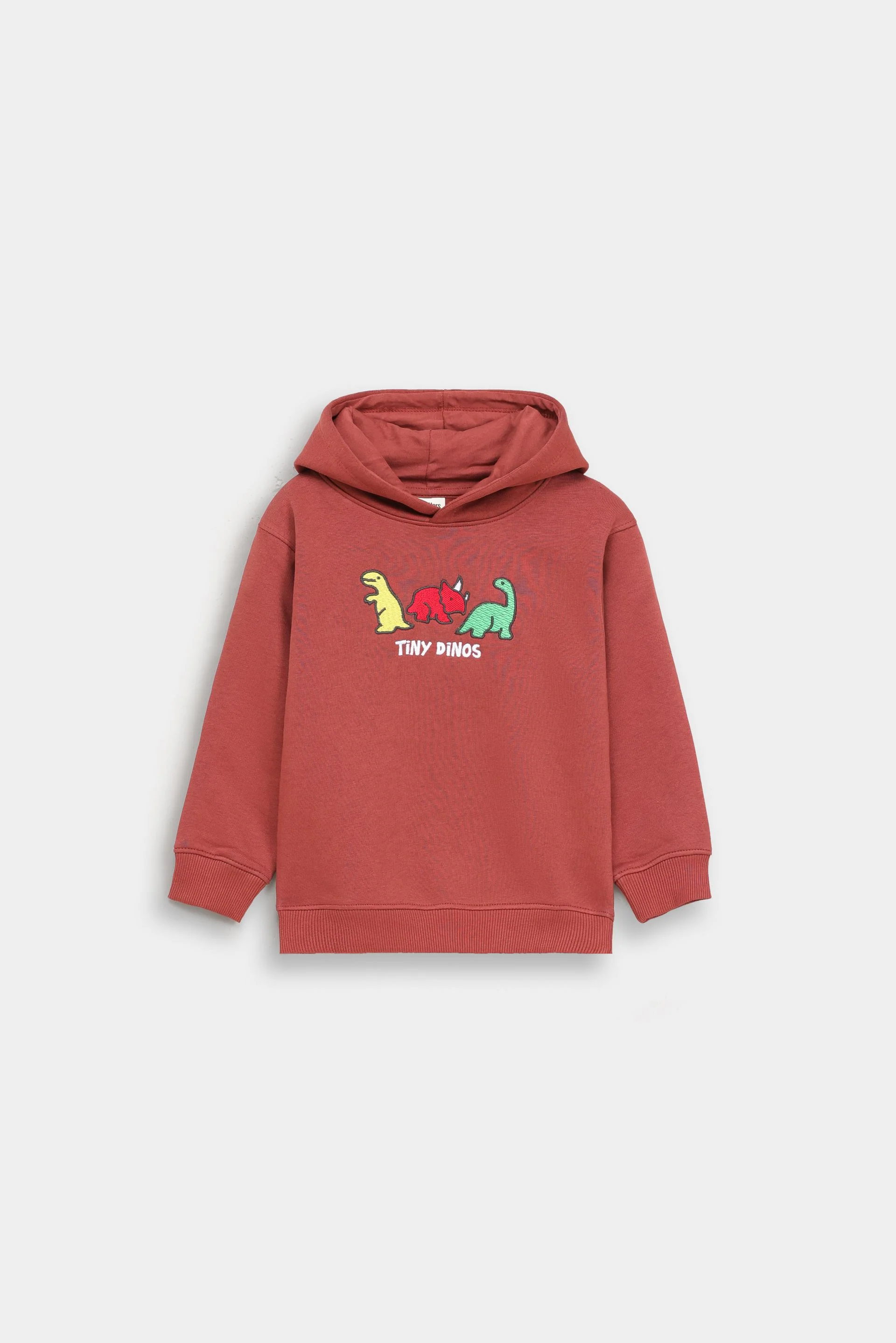 Dino Embroidered Hoodie - Image 7