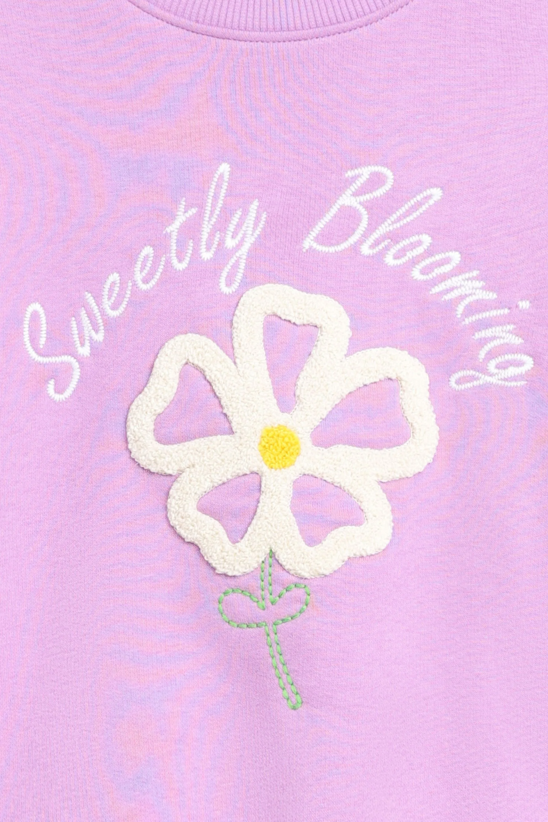 Embroidered Sweatshirt - Image 2