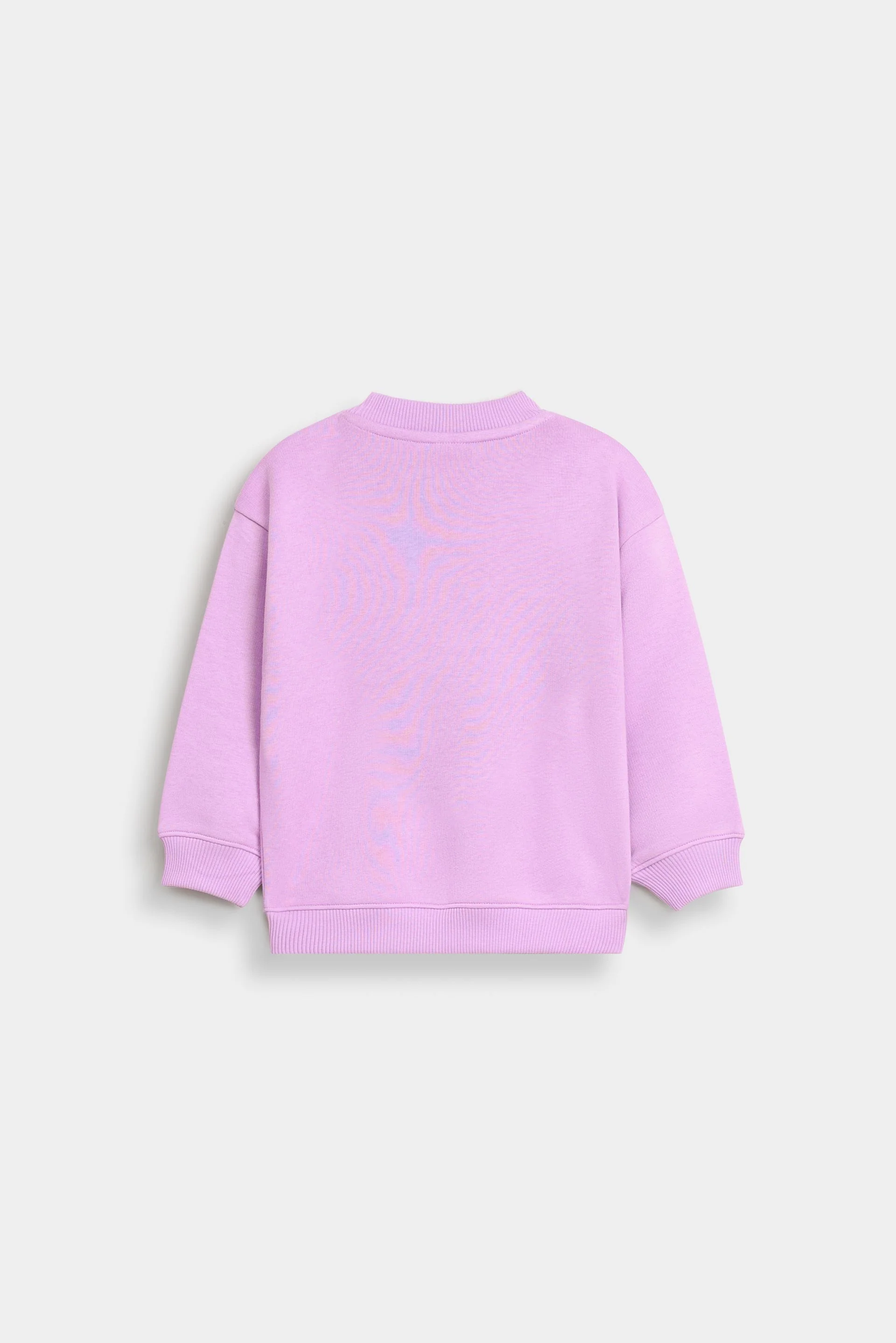 Embroidered Sweatshirt - Image 3