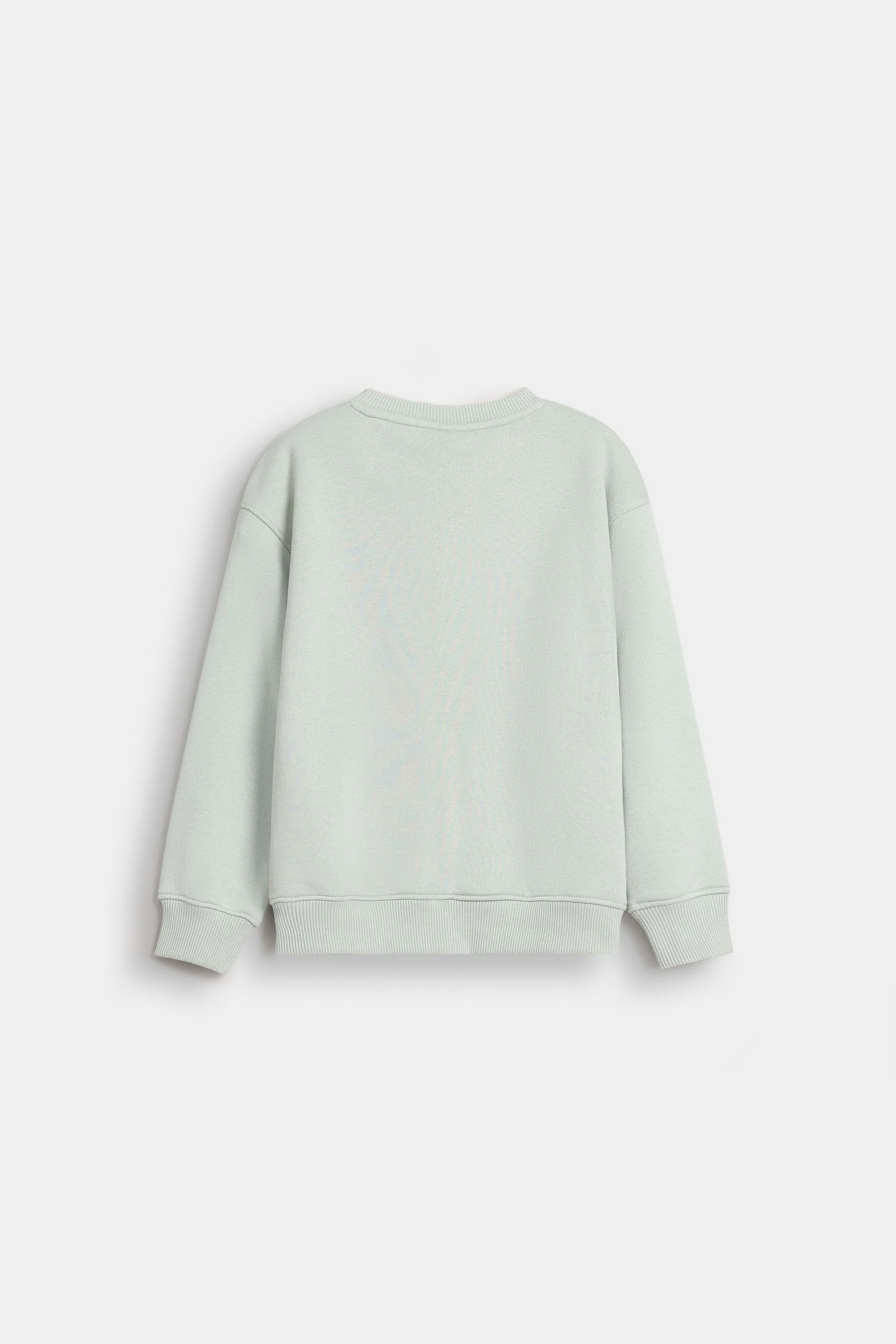 Basic Sweatshirt With Cut & Sew Detail - Image 3