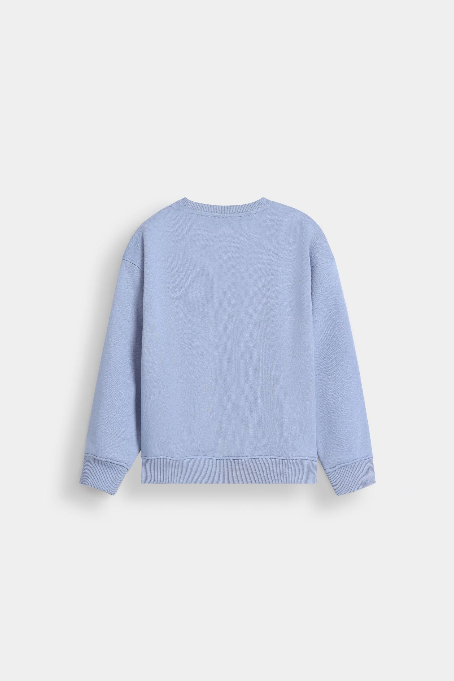 Basic Sweatshirt With Cut & Sew Detail - Image 8