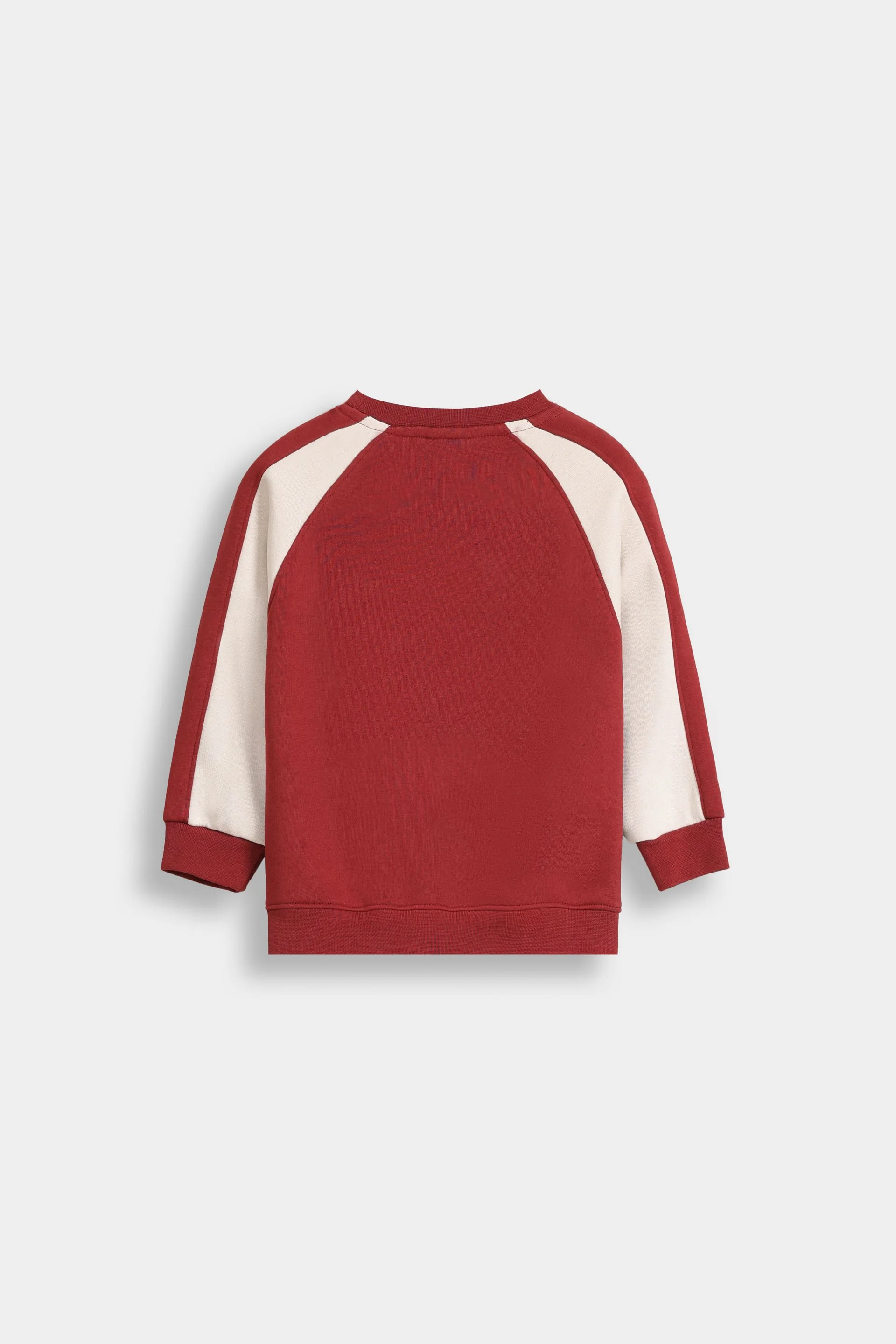 Color-Block Graphic Sweatshirt - Image 3