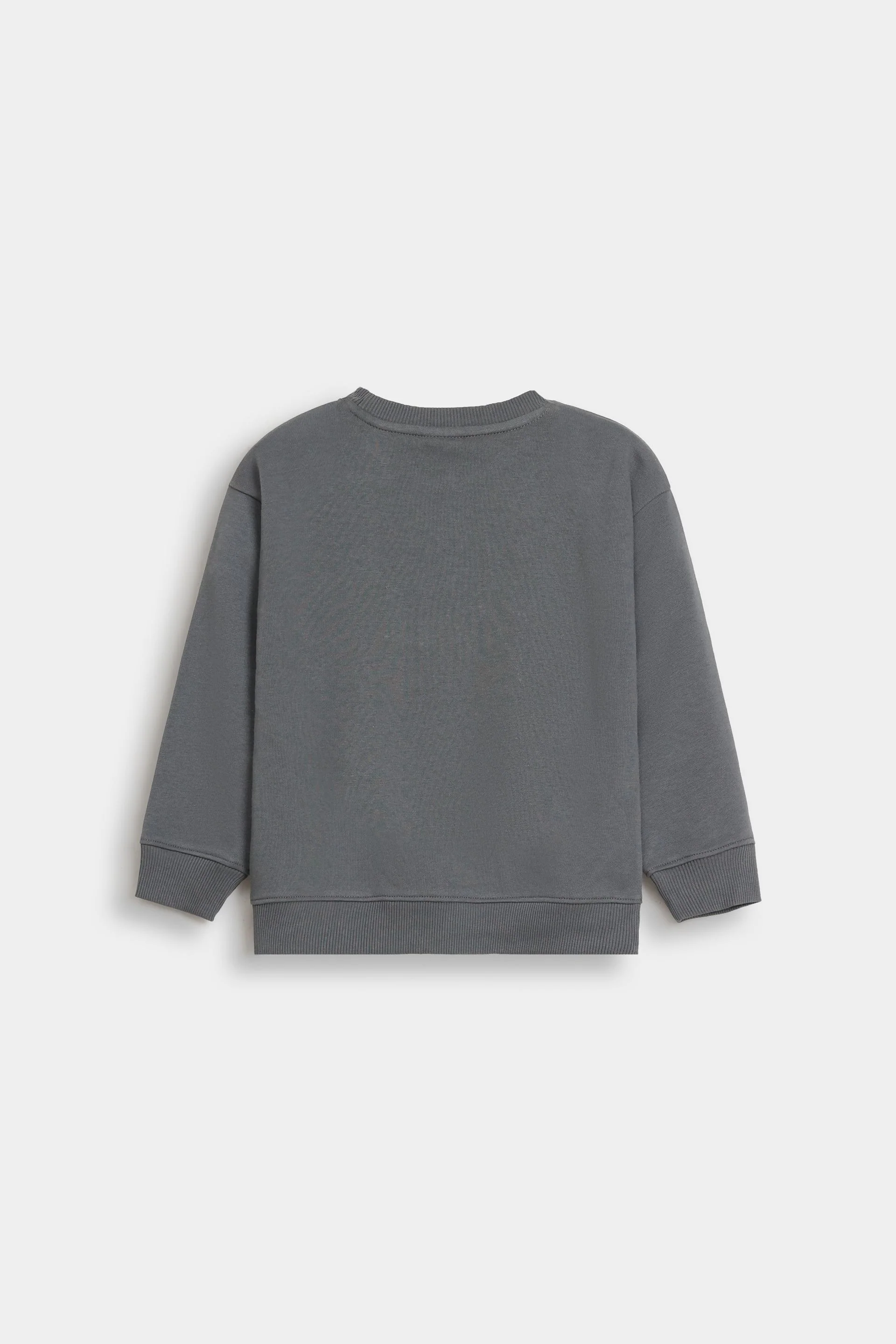 Sweatshirt With Tulle Applique Detail - Image 3