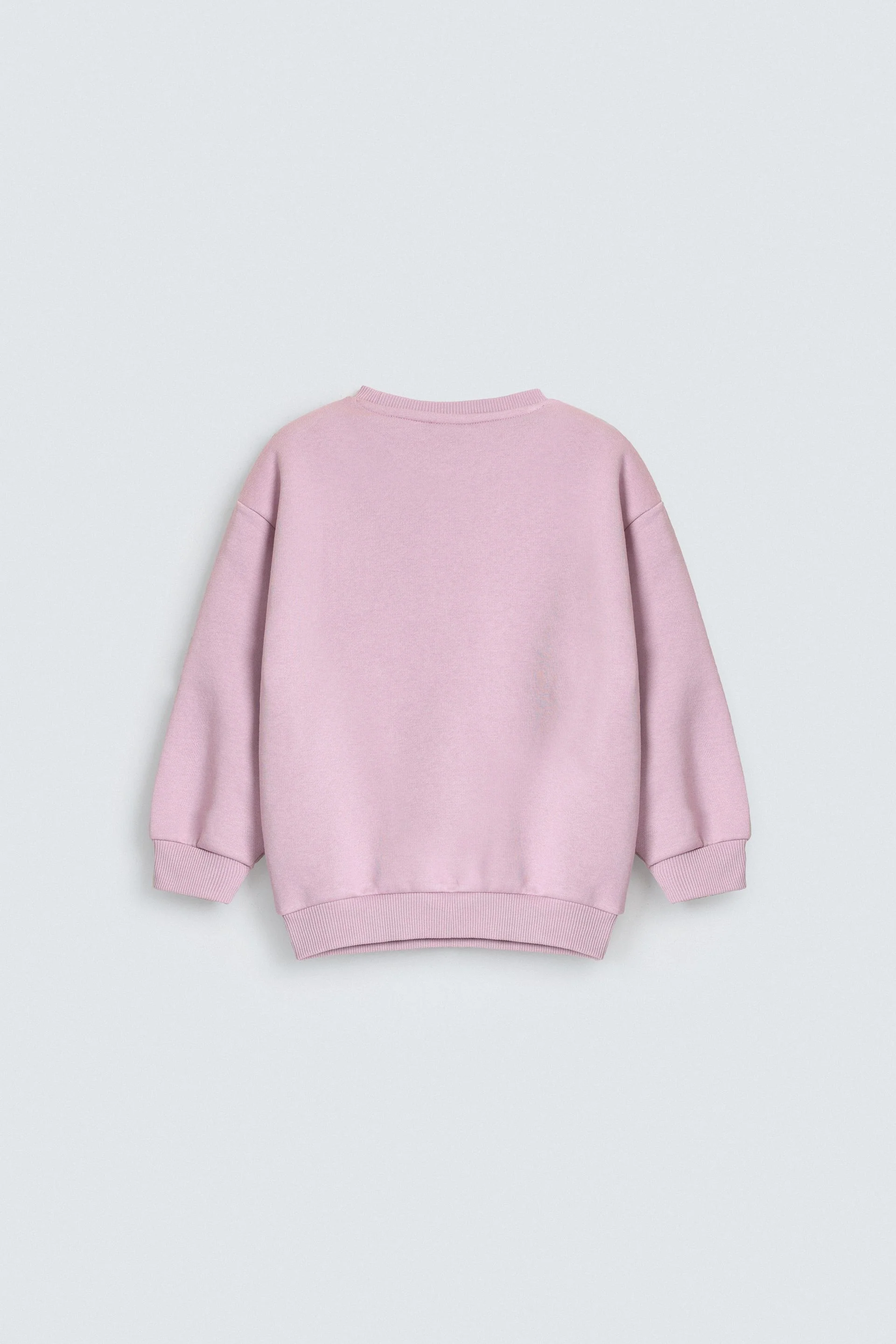 Embroidered Sweatshirt - Image 3