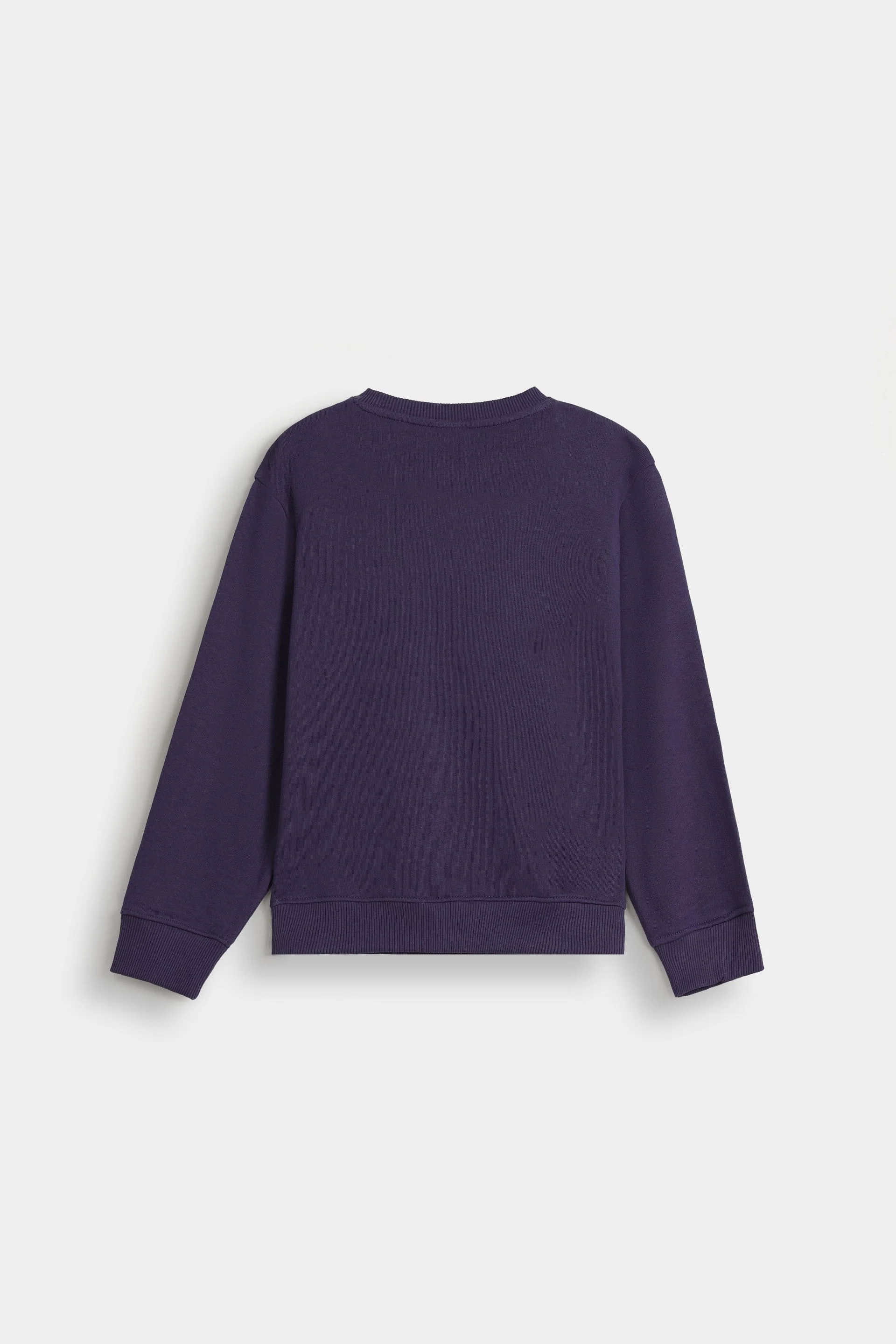 Basic Sweatshirt - Image 13