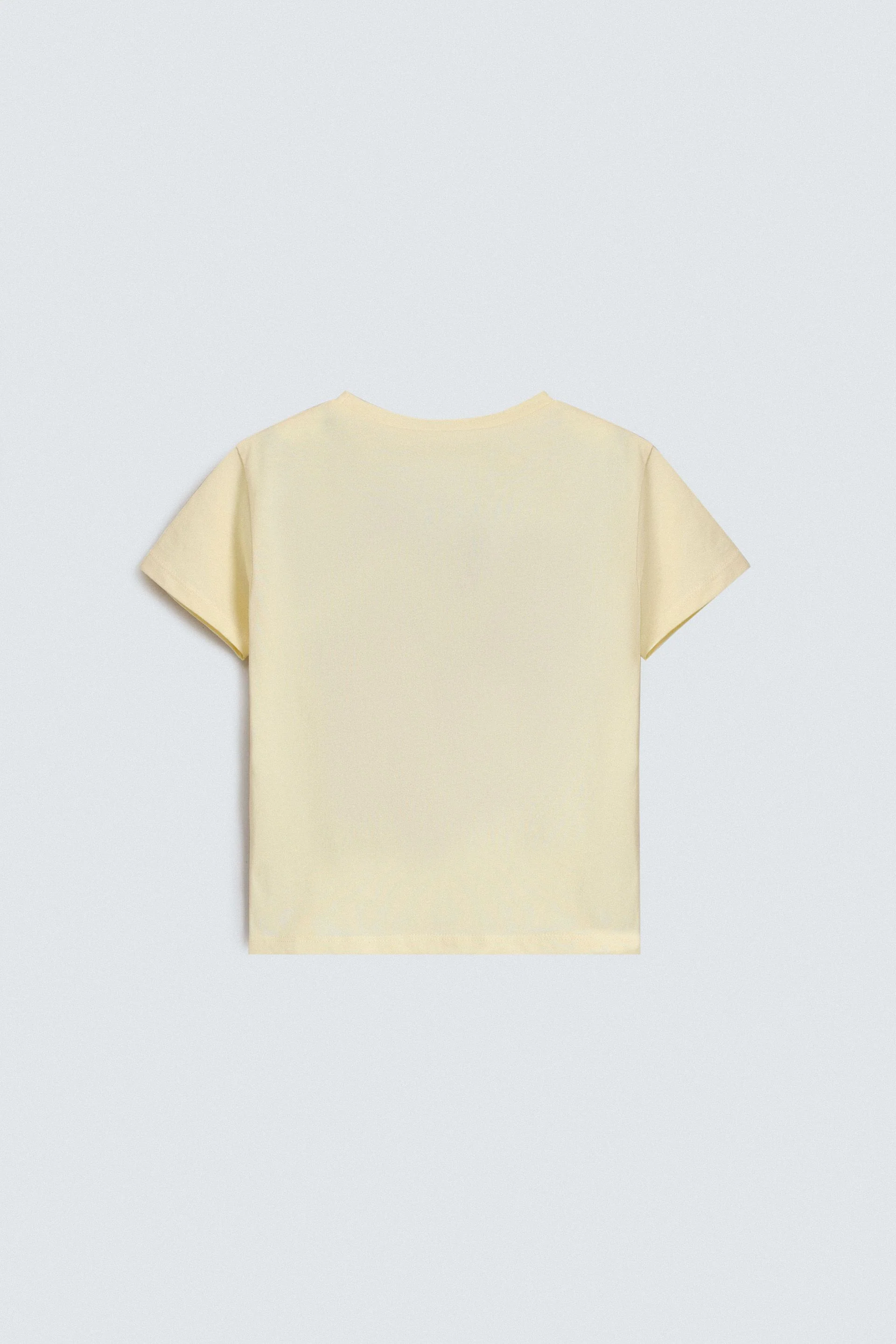 Cropped Embroidered T-Shirt - Image 3