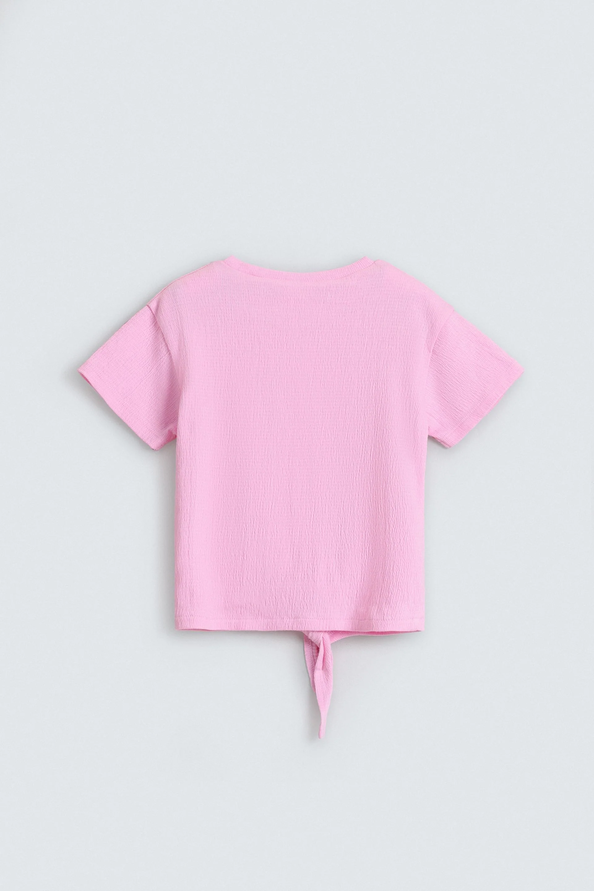 Cropped Embroidered T-Shirt - Image 3