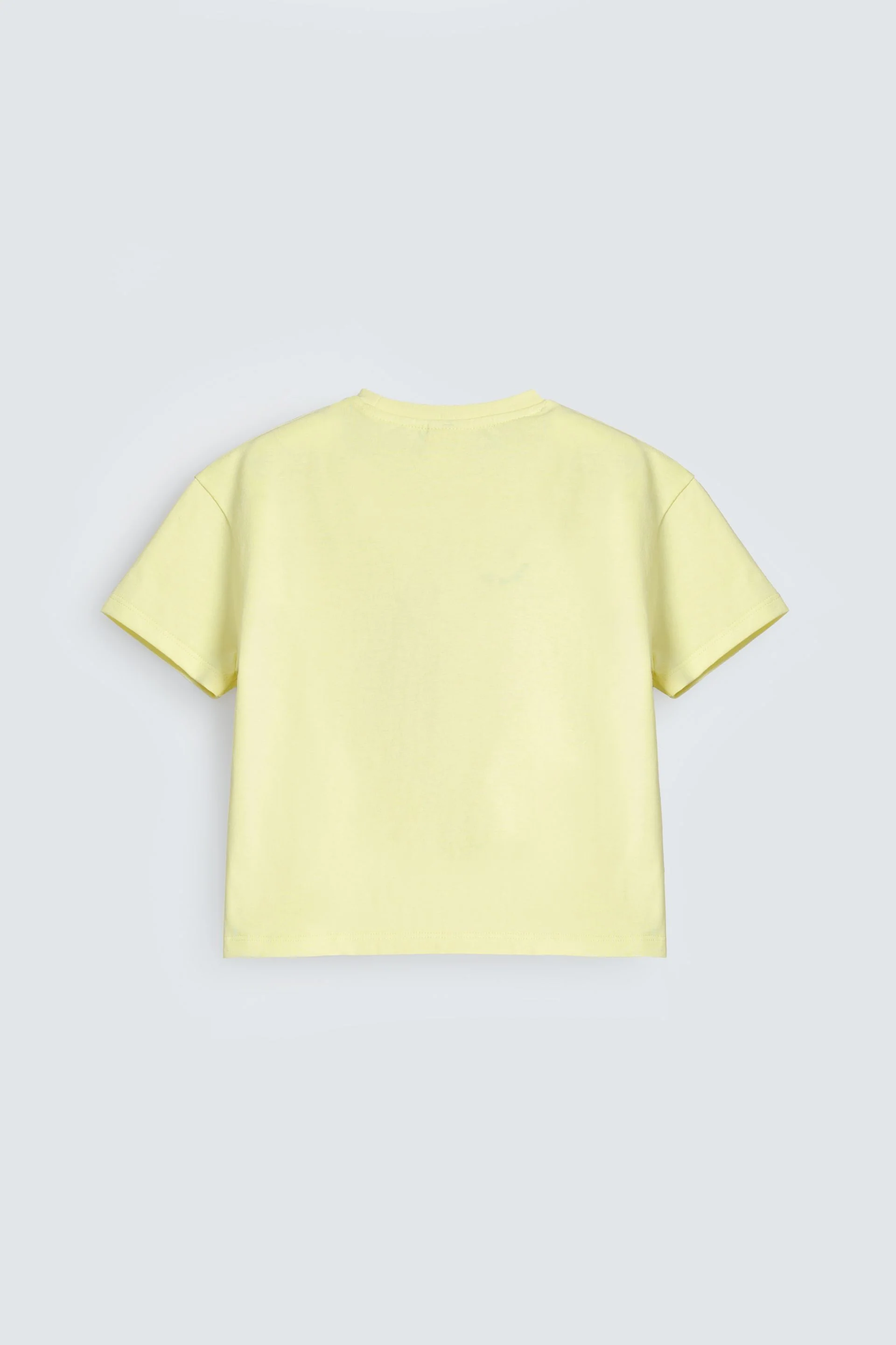 Cropped Embroidered T-Shirt - Image 3