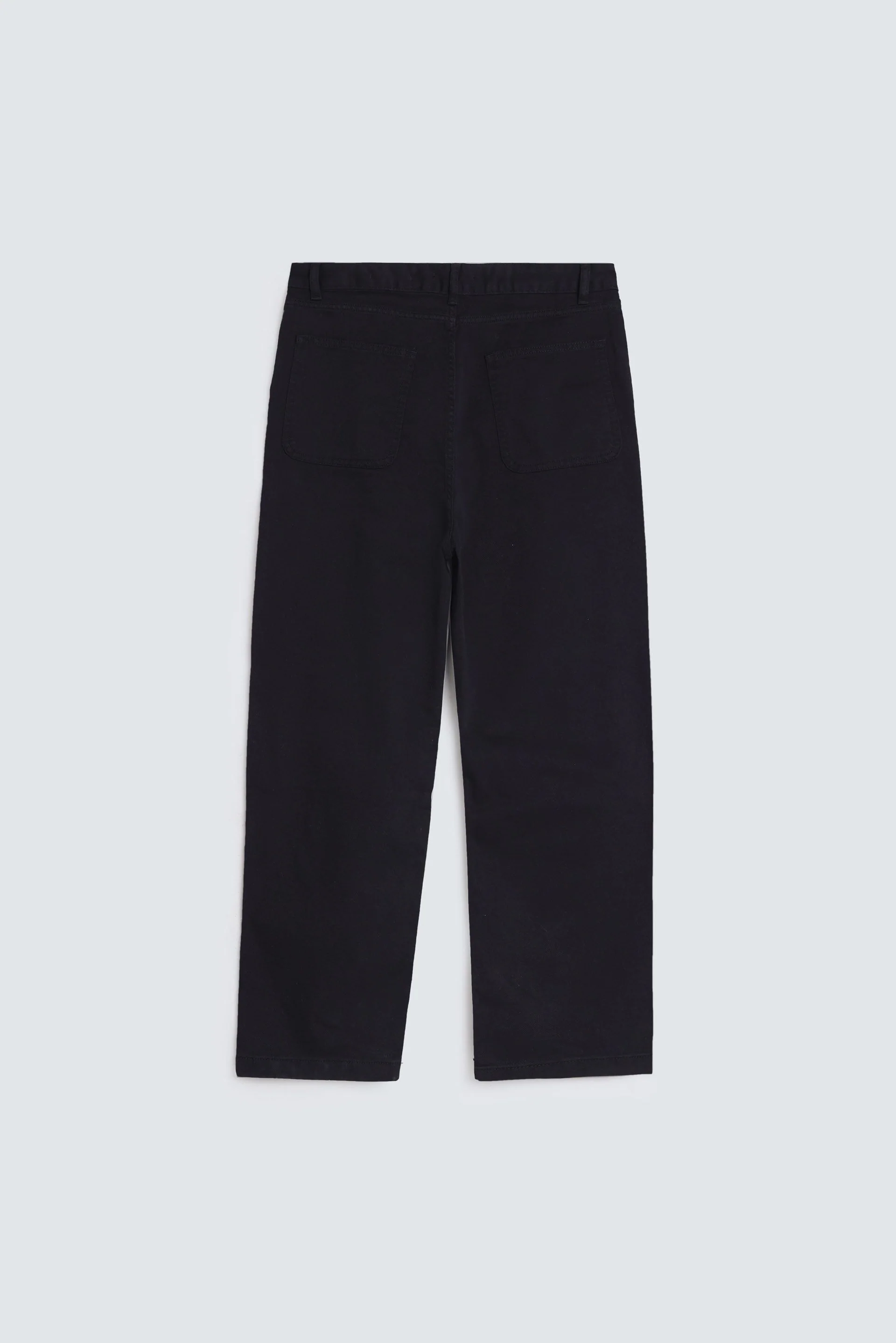 Relaxed Fit Pleated Pants - Image 12