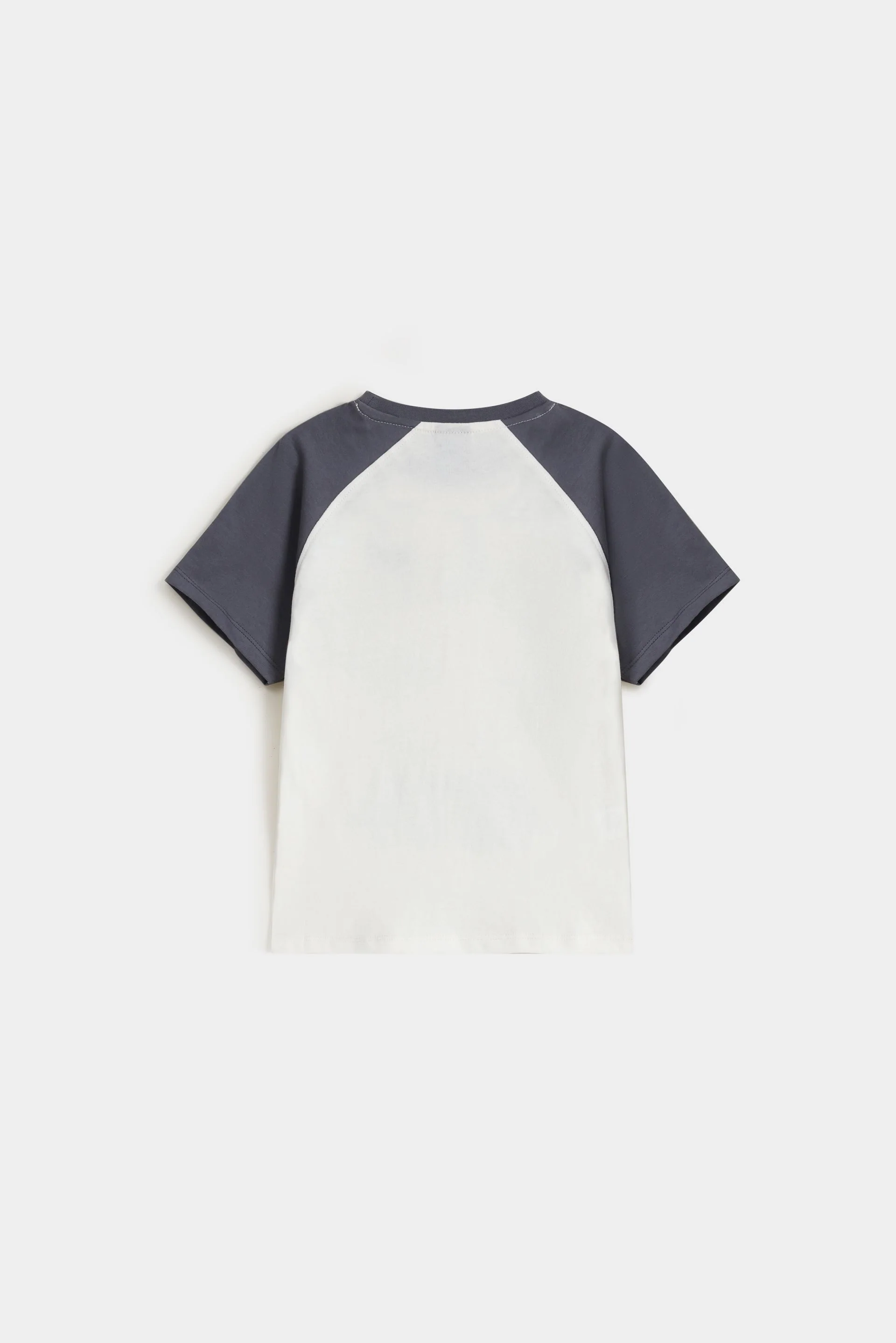 Color Block Raglan T-Shirt - Image 3