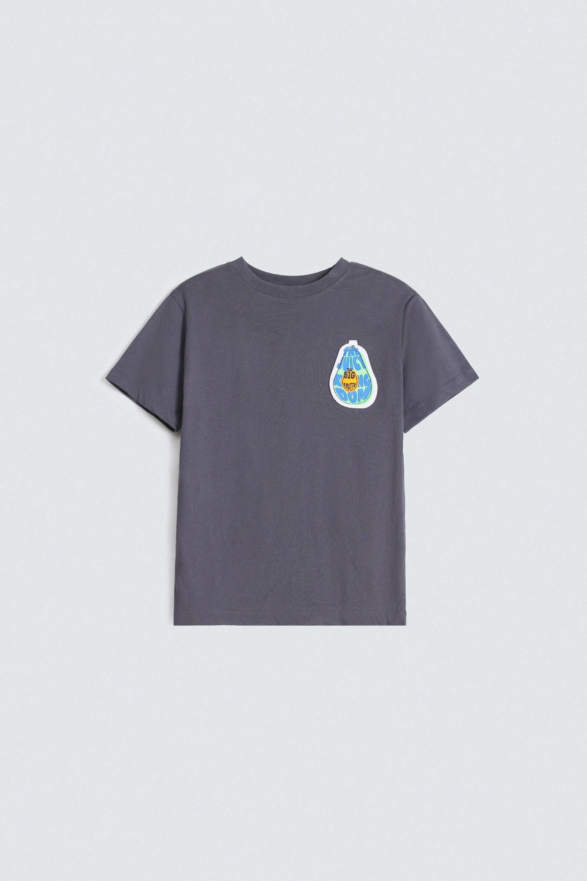 Graphic T-Shirt With Patch