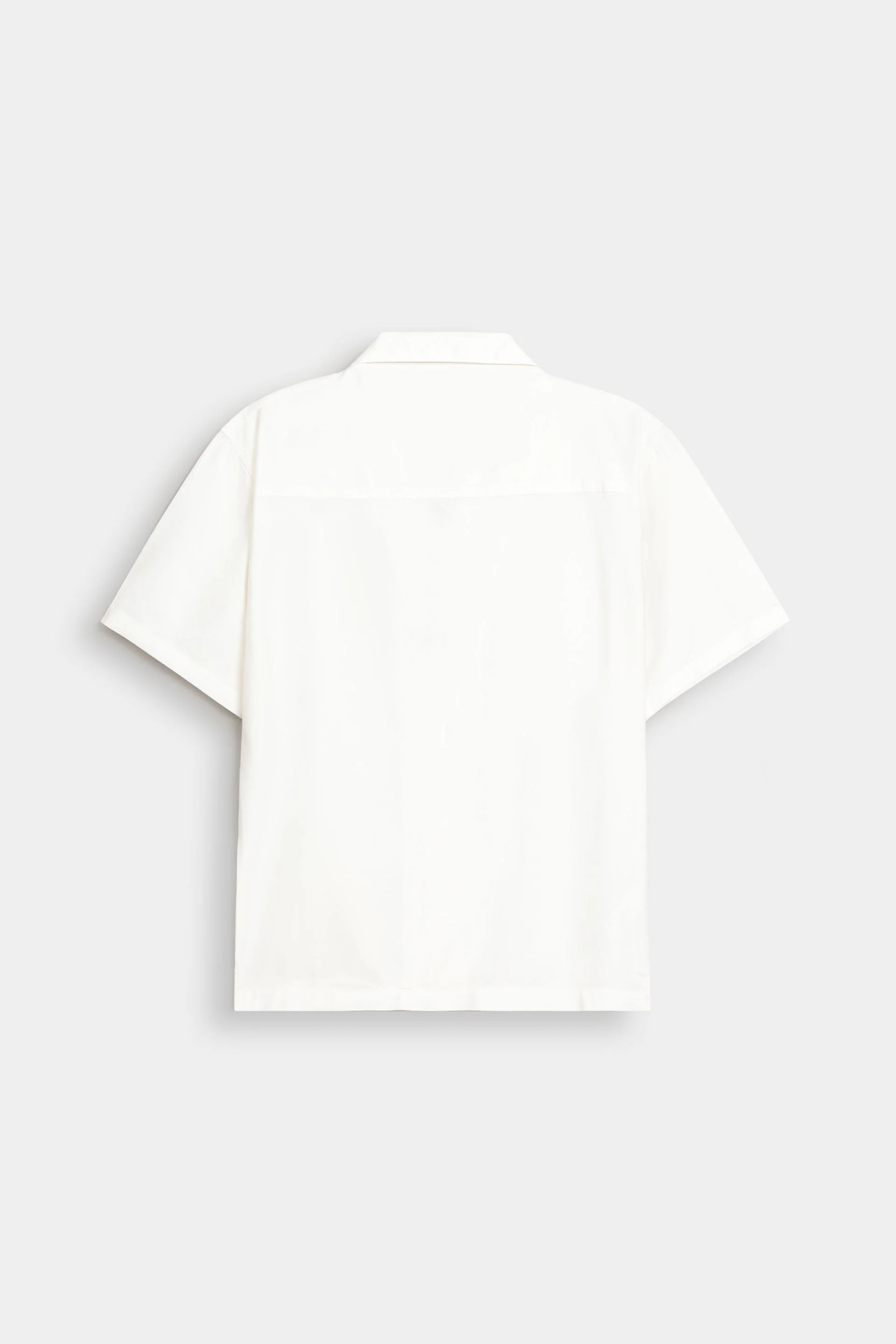Basic Shirt - Image 7