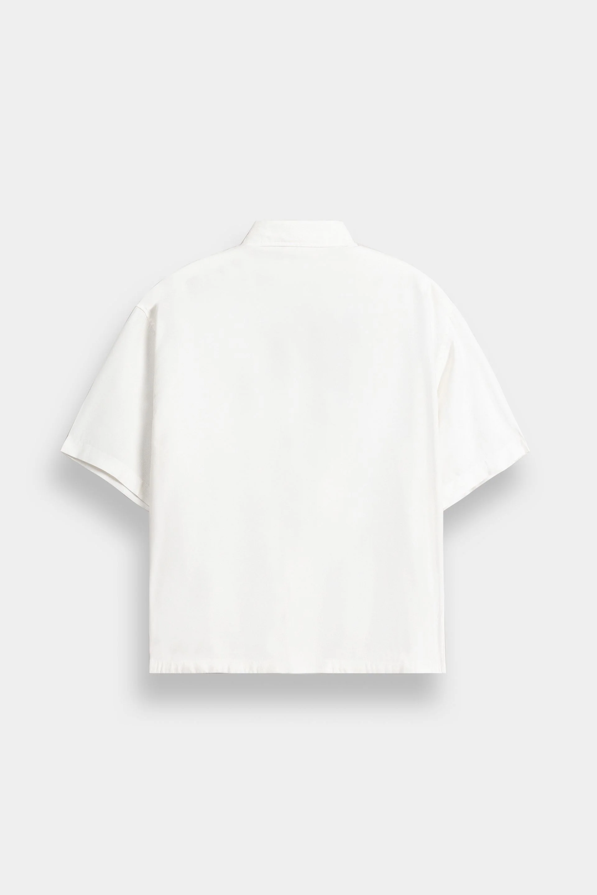 Basic Shirt - Image 3