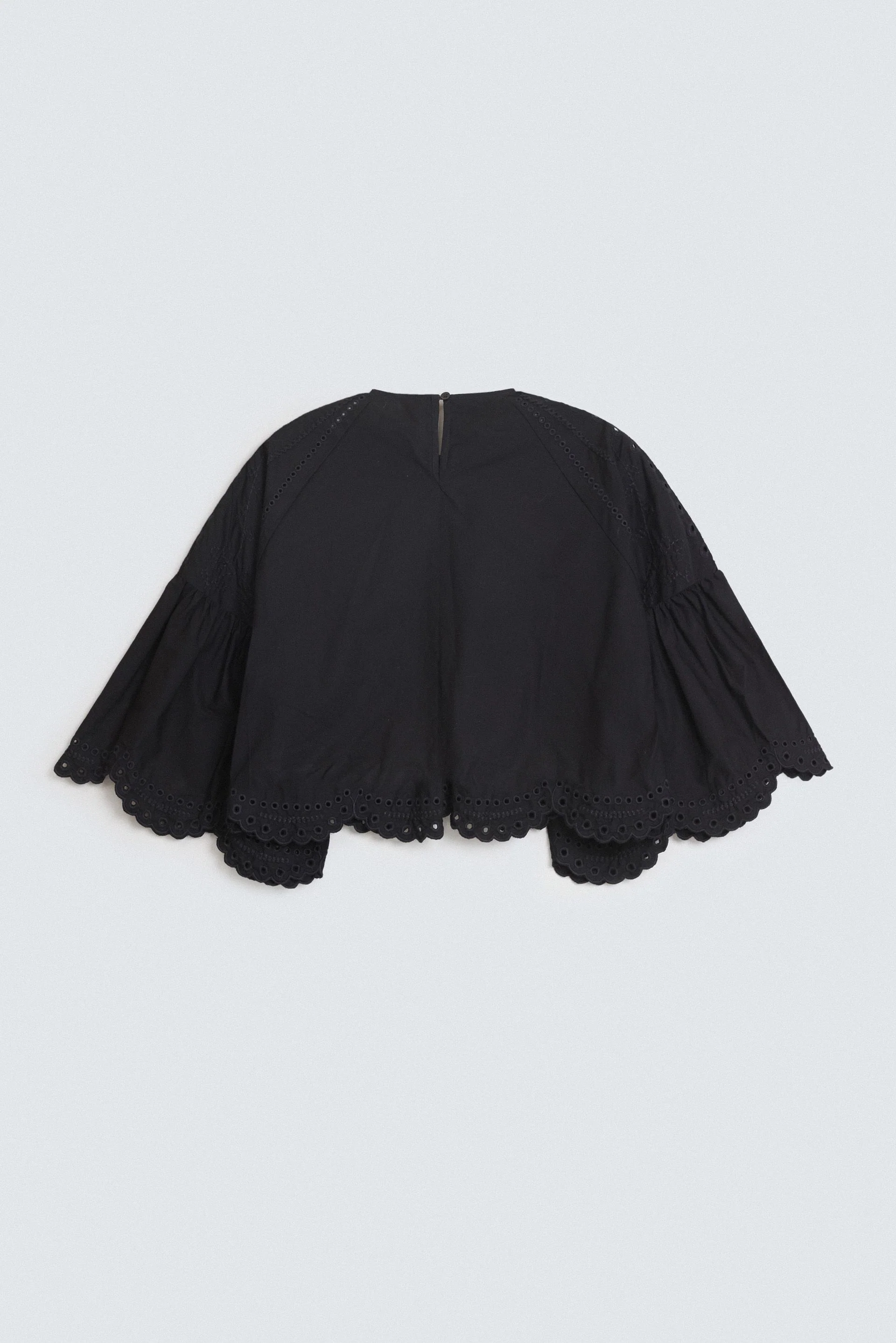Cropped Embroidered Schiffli Blouse - Image 8