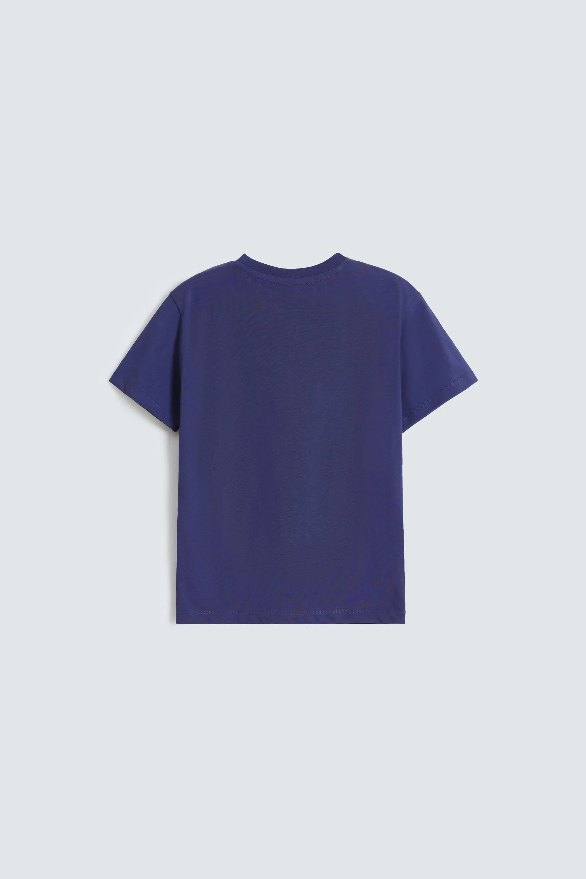 Graphic T-Shirt - Image 3