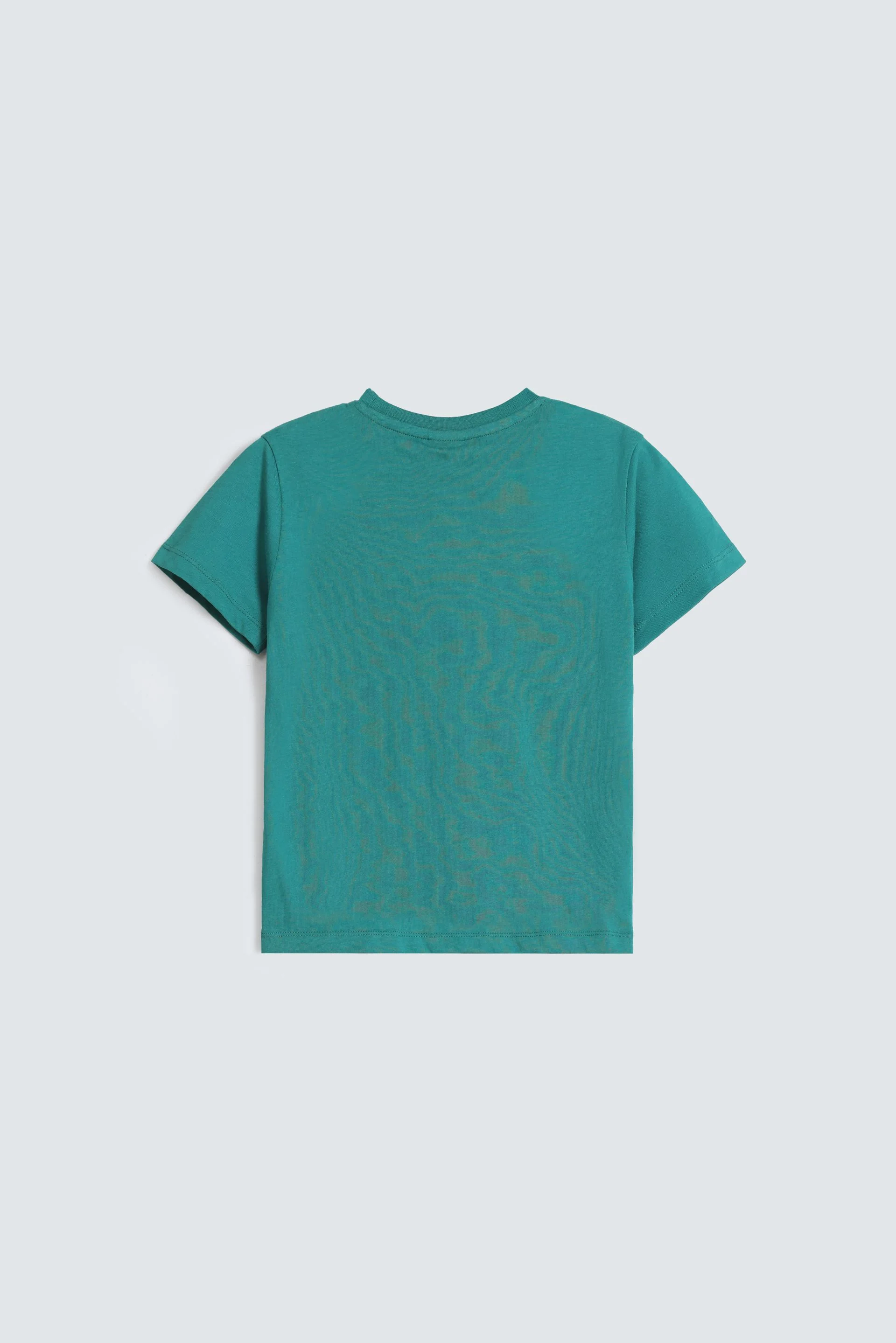Graphic T-Shirt - Image 3