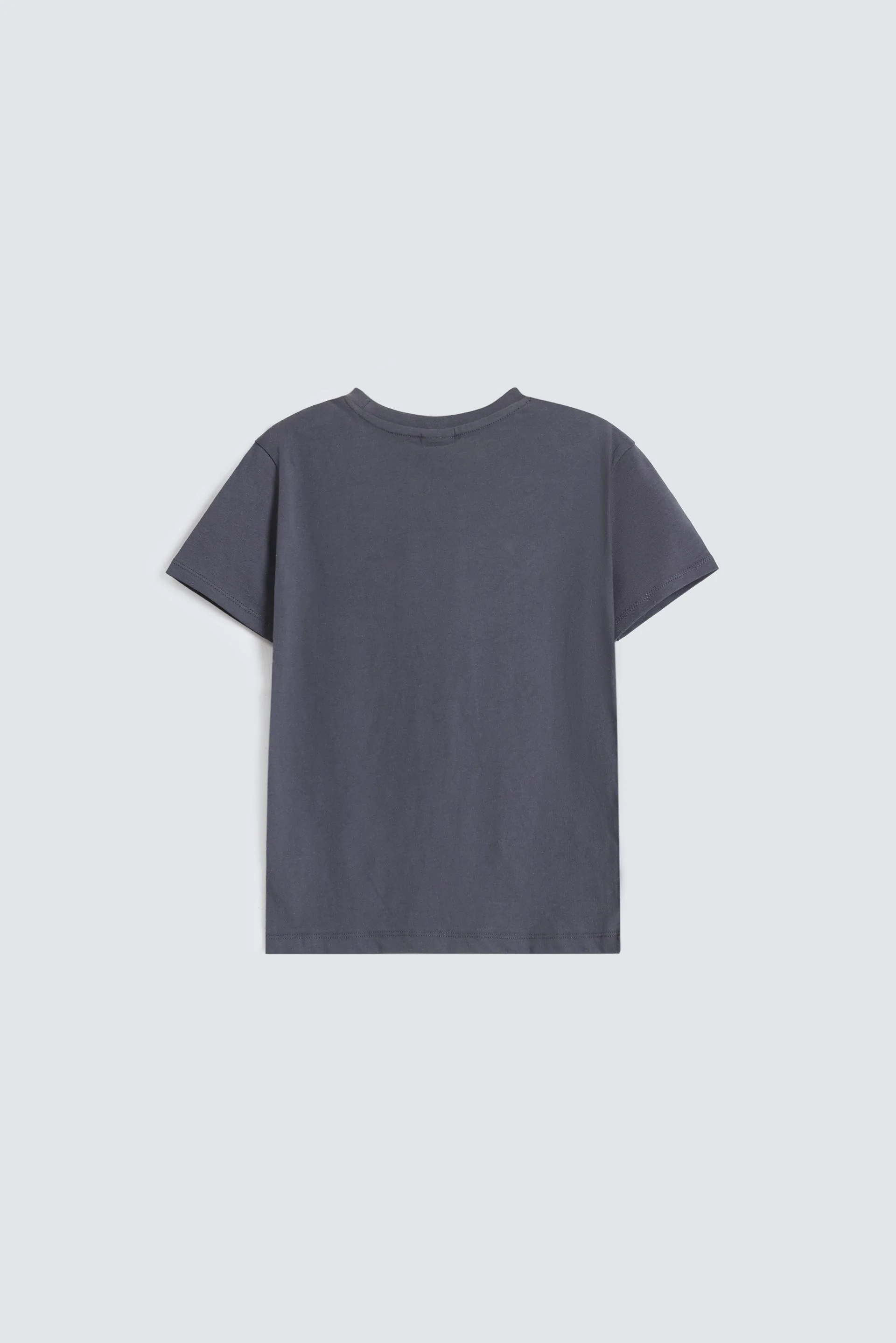 Graphic T-Shirt - Image 3