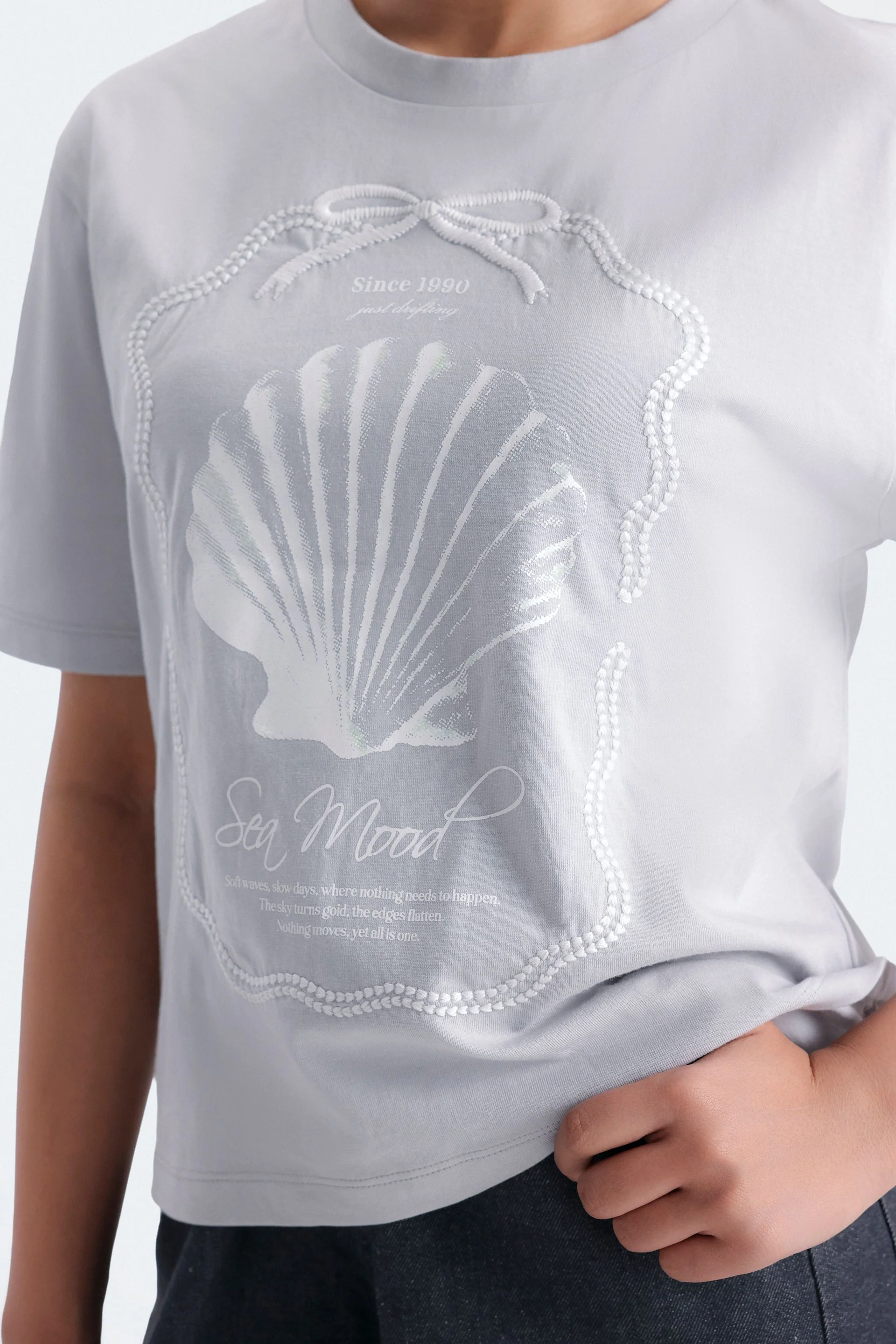 Cropped Embroidered T-Shirt - Image 2
