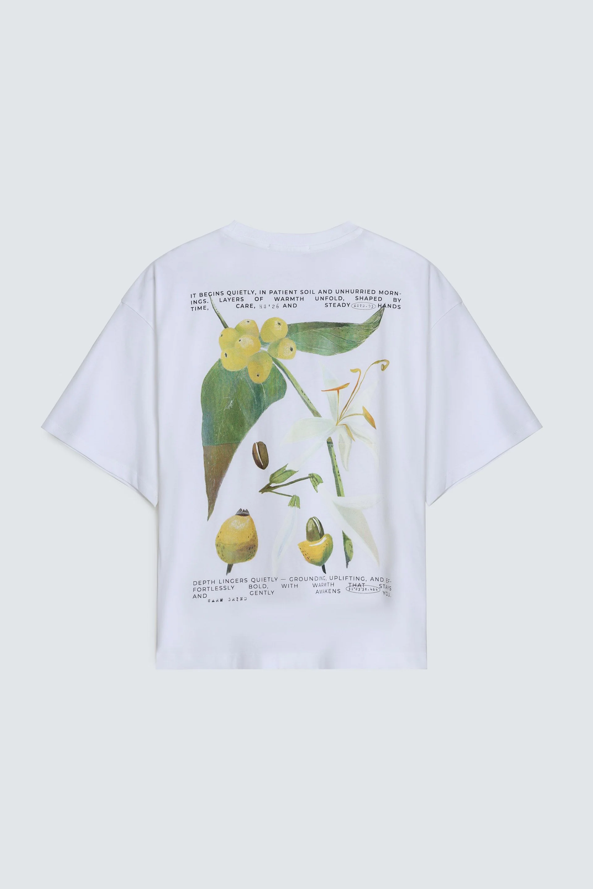 Graphic T-Shirt - Image 3